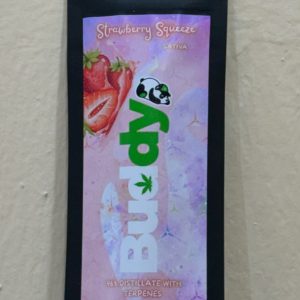 1ML Disposable Vape